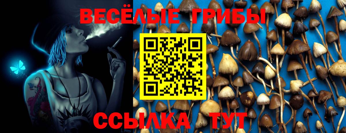 Псилоцибиновые грибы MAGIC MUSHROOMS Балашов